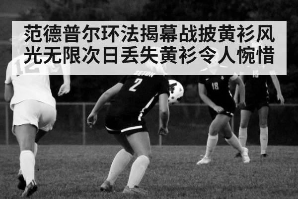 范德普尔环法揭幕战披黄衫风光无限次日丢失黄衫令人惋惜