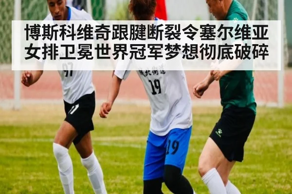 博斯科维奇跟腱断裂令塞尔维亚女排卫冕世界冠军梦想彻底破碎